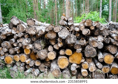 Close up of a pile of stacked logs