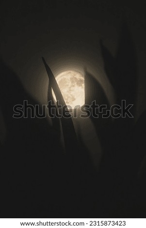 Asthetic moon picture in dark night
