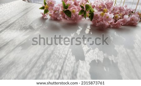 A branch with pink cherry blossom flowers on a white background. Texture, frame, copy space, background