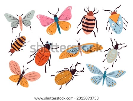 Insect bug butterfly beetle animal line art isolated set. Vector design graphic illustration