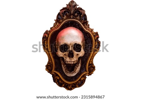 Skull placed in a picture frame