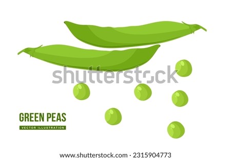 Green peas vector. Flat illustration of fresh food isolated on white background. Each pod contains several peas. Pea in cartoon style. vector illustration Royalty-Free Stock Photo #2315904773