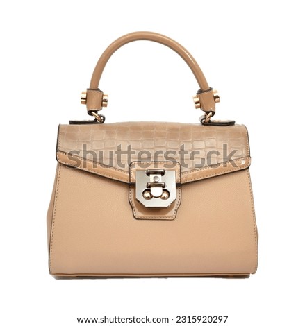 This is the picture of a party and casual bag for women`s