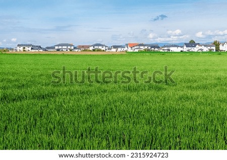 This photo showcases a tranquil green landscape with a row of small and charming cottages on the horizon. The lush greenery and rolling hills create a picturesque backdrop, while the neatly arranged.