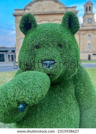 Green grass bear, eye of York