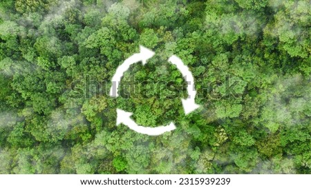 environment sustainable circular economy for future growth of business Carbon neutral and net zero environment A climate-neutral long-term strategy greenhouse  targets on nature background Royalty-Free Stock Photo #2315939239