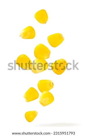 Corn seeds falling in the air isolated on white background. Royalty-Free Stock Photo #2315951793