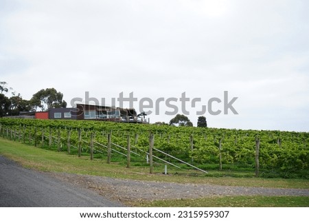 Winery: Refined Wine with a View in　Australia