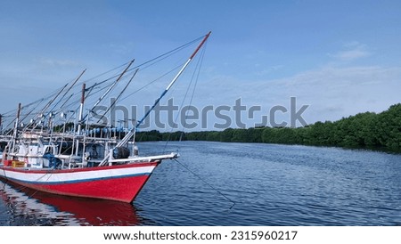 fishing boats anchored in the sea and mangroves