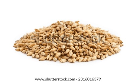 malt barley grain beer whole isolated on white background. pile of malt barley grain beer whole isolated. heap of malt barley grain beer whole isolated Royalty-Free Stock Photo #2316016379