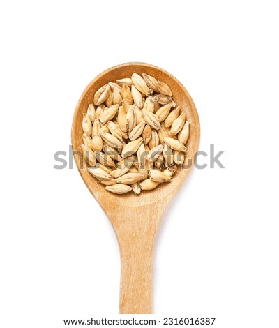 top view overhead flat lay malt barley grain beer whole in wood spoon isolated on white background. pile of malt barley grain beer whole isolated. heap of malt barley grain beer whole isolate Royalty-Free Stock Photo #2316016387
