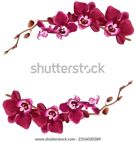 Frame with orchid flower branches. Watercolor illustration isolated on white for clip art, cards, invitation,