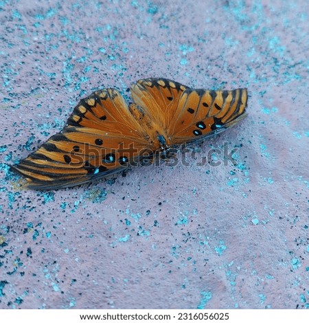 The scene depicts a butterfly resting on the ground, showcasing its delicate beauty against the contrasting backdrop. The butterfly's vibrant colors and intricate patterns stand out against the earth