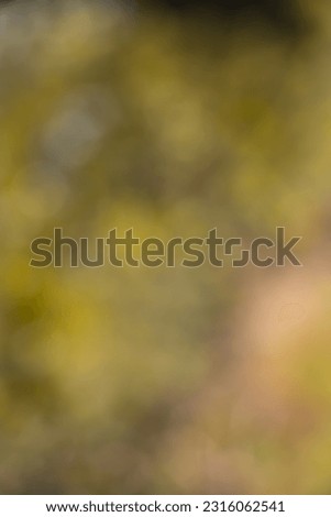 Beautiful blurred background image of spring nature,de-focused green background,wallpaper