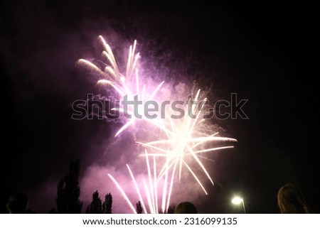 firework fire flower in the black sky. High quality photo