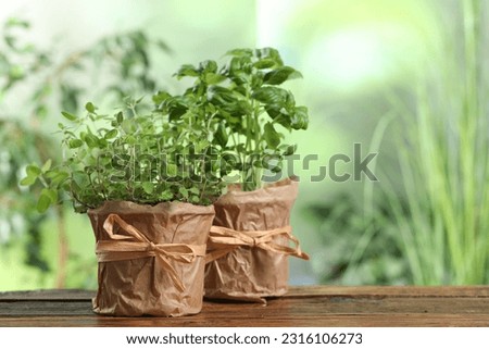 Aromatic potted oregano and basil on wooden table. Space for text Royalty-Free Stock Photo #2316106273