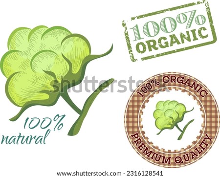 Organic product stamps collection various colored flat shapes