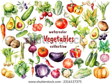 Watercolor Vegetables and Lettuce collection. Hand drawn fresh food design elements isolated on white background. Royalty-Free Stock Photo #2316137375