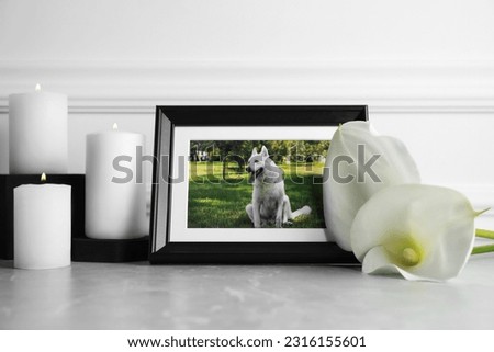 Frame with picture of dog, burning candles and calla lily flowers on light grey table. Pet funeral