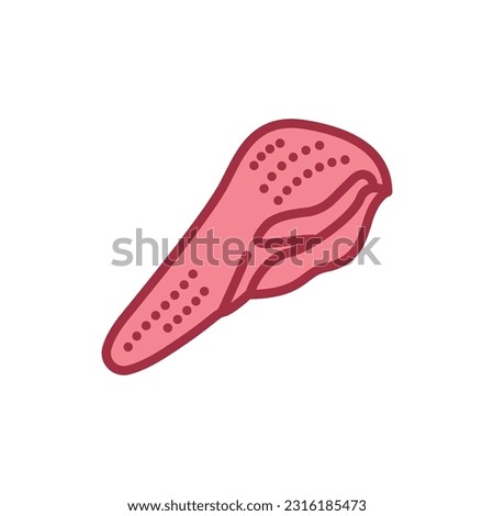 Beef tongue color line icon. Cutting meat. Pictogram for web page, mobile app, promo.
