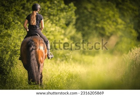 Girl horse rider on the green field. Trees in the background. Equestrian theme. Royalty-Free Stock Photo #2316205869