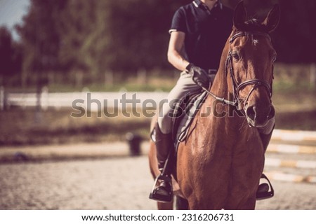 Horse rider on a parkour after equestrian training. Show jumping training. Royalty-Free Stock Photo #2316206731