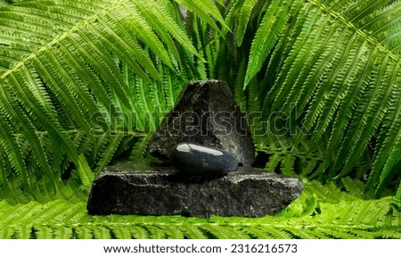composition of black stones and green branches for product presentation.spa still life of black and gray stones for podium background.flat and oval stones on green fern branches background.