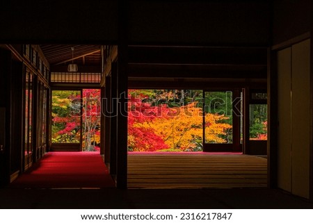 Autumn leaves in the picture-framed garden of Tenju-an, Kyoto, Japan