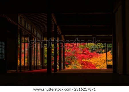 Autumn leaves in the picture-framed garden of Tenju-an, Kyoto, Japan