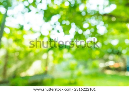 Abstract blur city park bokeh background,blur defocused park garden tree in nature background,Nature of green leaf in garden at summer.