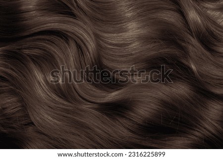 Brown hair close-up as a background. Women's long brown hair. Beautifully styled wavy shiny curls. Hair coloring. Hairdressing procedures, extension. Royalty-Free Stock Photo #2316225899