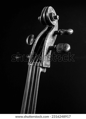 Black and white image of an old cello scroll or headstock. Royalty-Free Stock Photo #2316248917