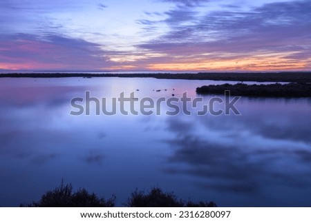 Sunrise in the wetlands of the Camargue (Provence, France), clear morning in springtime Royalty-Free Stock Photo #2316280097
