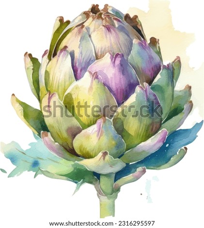 Handpainted watercolor poster with artichokes isolated on white background Royalty-Free Stock Photo #2316295597
