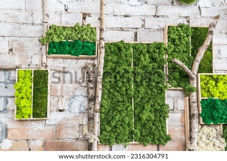 Light and dark green moss in wooden boxes on a rustic stone wall in the form of a picture. Beautiful frame for a picture. Beautiful frame as wall decoration. Ecology.