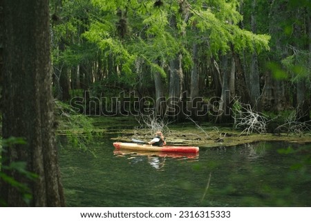 Kayaking in the  Manatee Springs State Park in Florida. Sunny day calm  waters and green trees. 