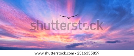 A Bird Silhouette Is Soaring Above The Colorful Clouds At Sunset Banner Royalty-Free Stock Photo #2316335859