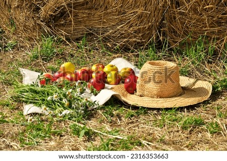 Countryside still life with apples on the grass. Harvesting.