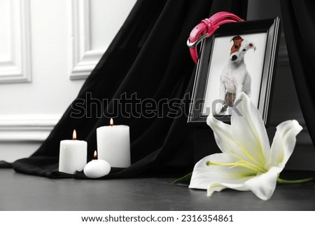 Frame with picture of dog, collar, burning candles and lily flower on grey table, space for text. Pet funeral