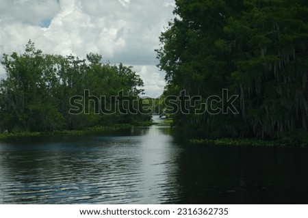 Manatee Springs State Park River. Green trees on a sunny bright day. Reflection of light and clouds on the calm water.