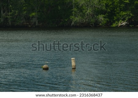 safe water mark buoys in Manatee Springs State Park River. Sunny day blue water with green trees on far side. Calm water.
