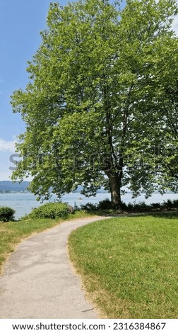 Summer vacation on beautiful Lake Constance with blue sky and sunshine