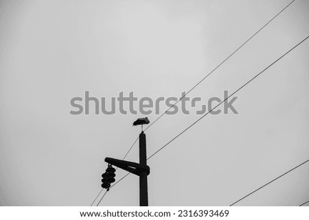 A stork is standing on a electric power pole...