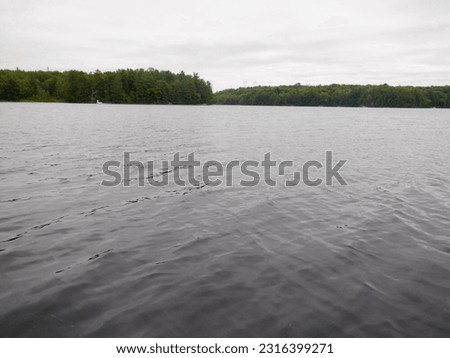 Scenery along the shore of Oastler Lake during Summer