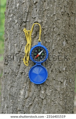 one open blue plastic compass hangs on a yellow cord on the gray bark of a tree outdoors in nature