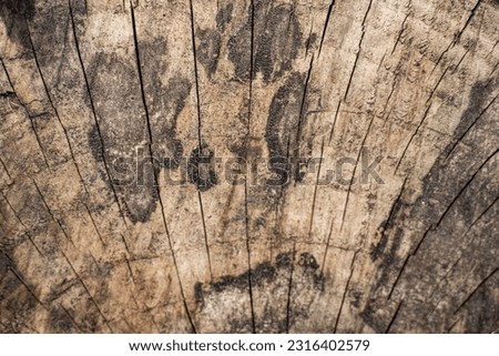 sawn log of brown color macro, texture with cracks