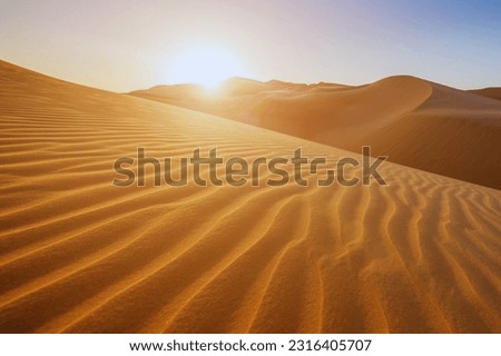 Sunset over the desert of Al Khatim in Abu Dhabi, Emirates. Golden Sand Dune Desert Landscape Panorama. Beautiful sunset over the sand dunes in the Al Khatim in Abu Dhabi, Emirates Royalty-Free Stock Photo #2316405707