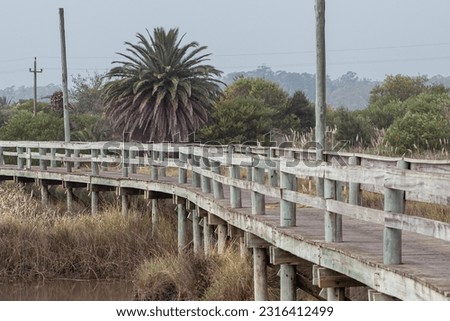Footbridge in the Wetlands of the Santa Lucia River on a cloudy day in Montevideo, the capital of Uruguay in the year 2023.