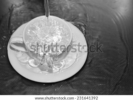 water in the cup with a spray