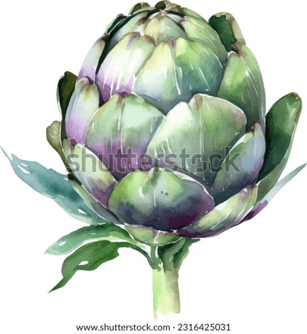 Handpainted watercolor poster with artichokes isolated on white background Royalty-Free Stock Photo #2316425031